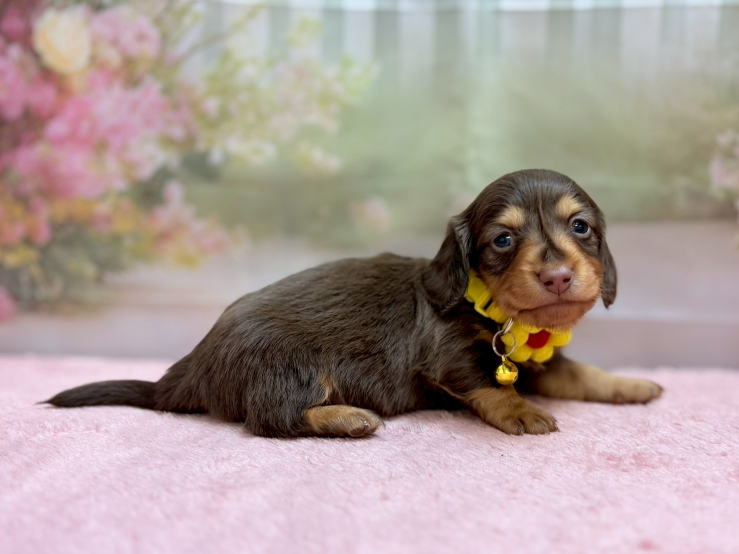 赤ちゃん写真2-2