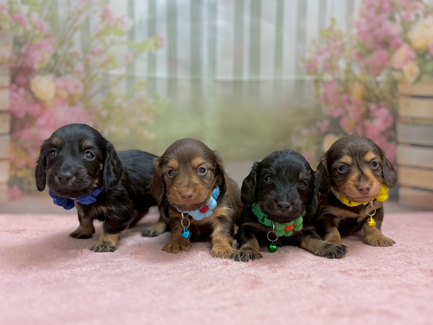 赤ちゃん写真2-3