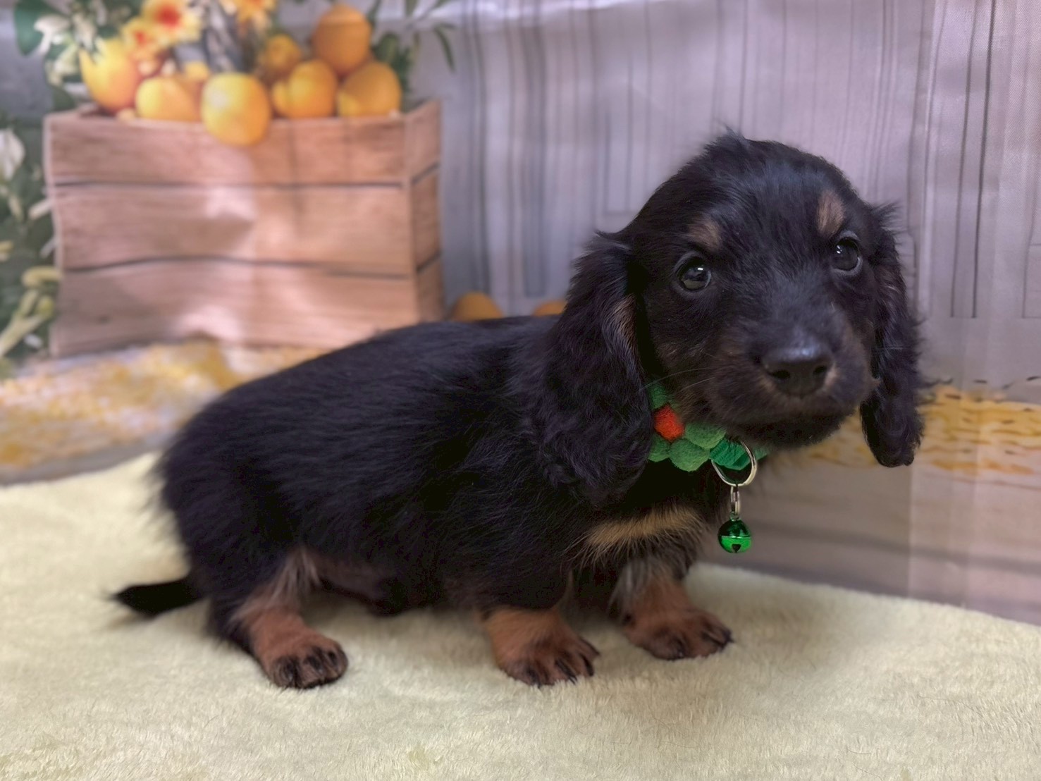 赤ちゃん写真3-2