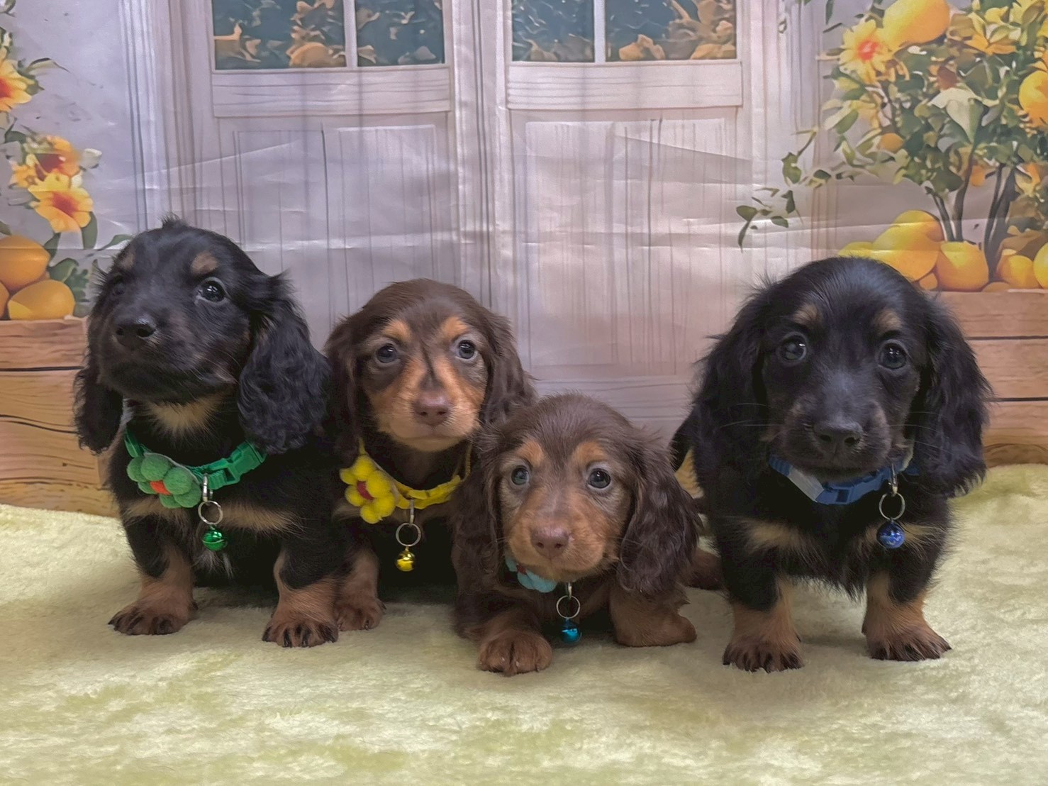 赤ちゃん写真3-3