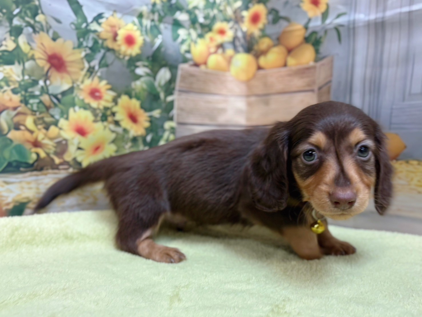 赤ちゃん写真3-2