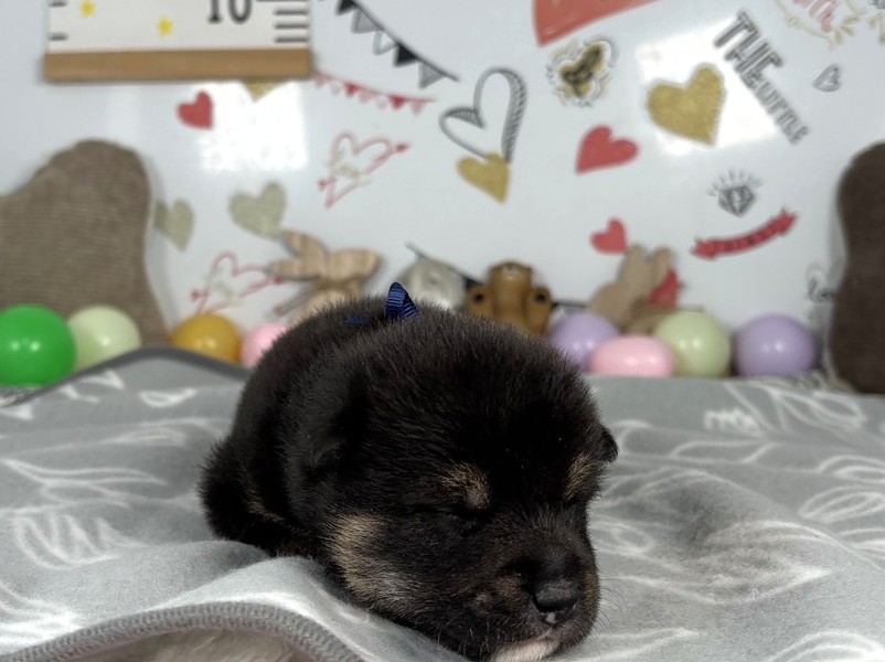 赤ちゃん写真1-1