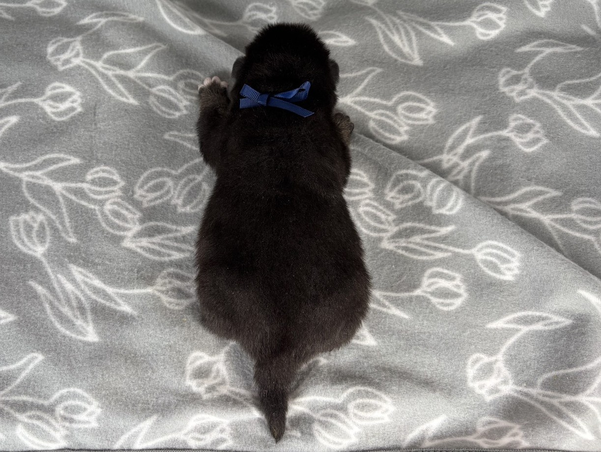 赤ちゃん写真1-3
