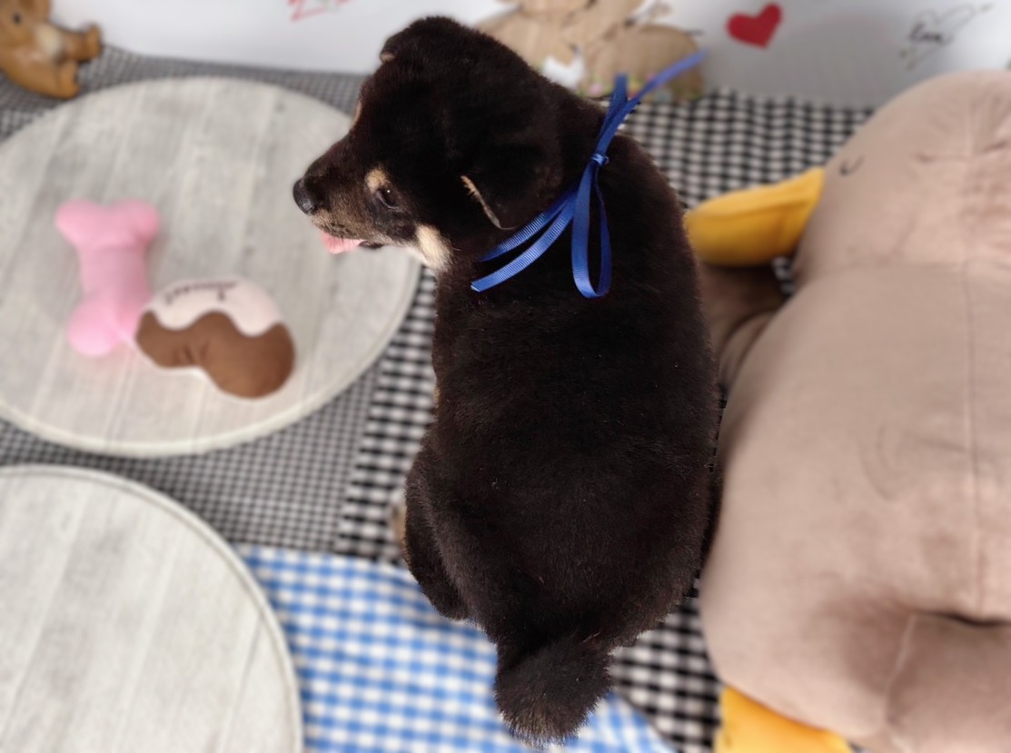 赤ちゃん写真2-3