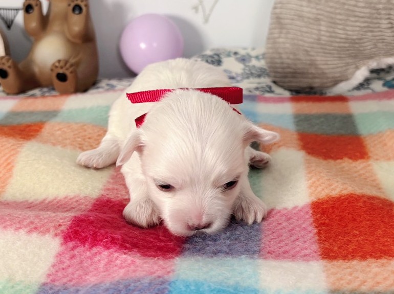 赤ちゃん写真1-1