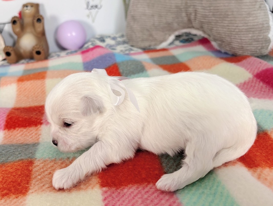 赤ちゃん写真1-2