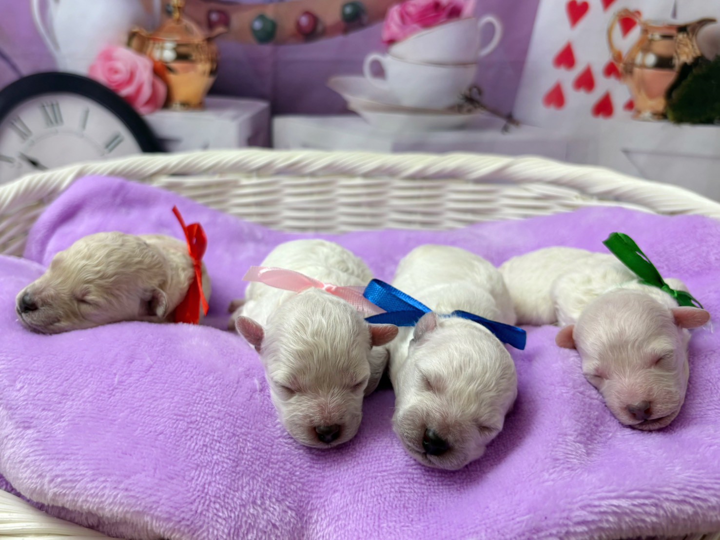赤ちゃん写真1-3