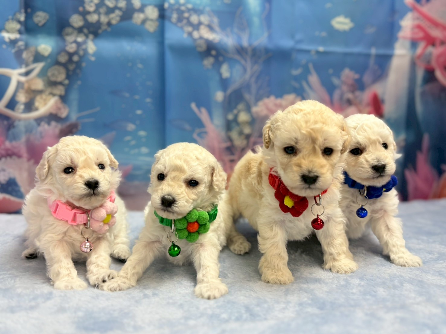 赤ちゃん写真2-3