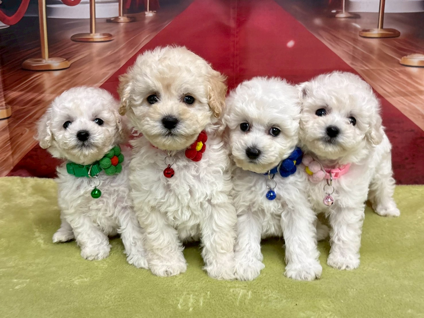 赤ちゃん写真3-3