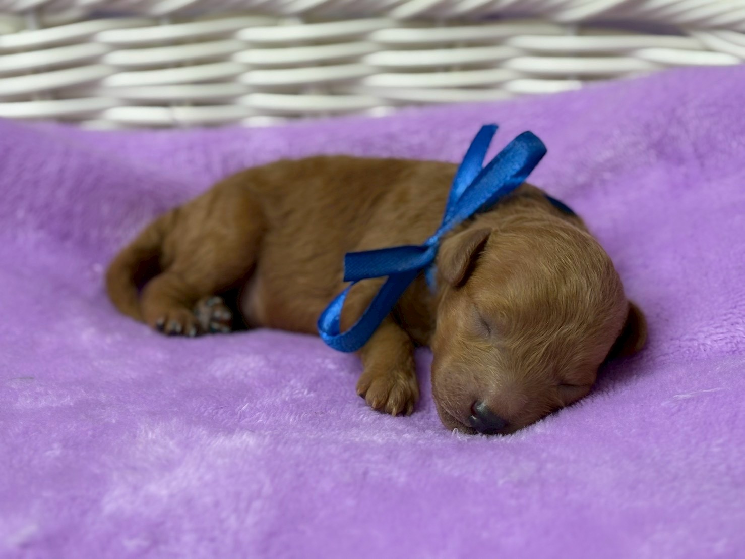 赤ちゃん写真1-2