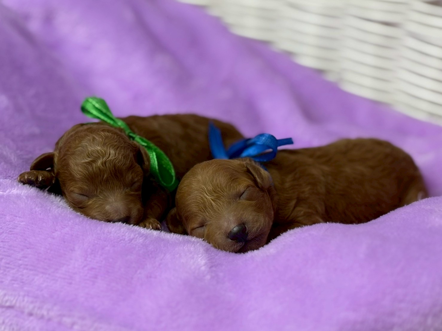 赤ちゃん写真1-3