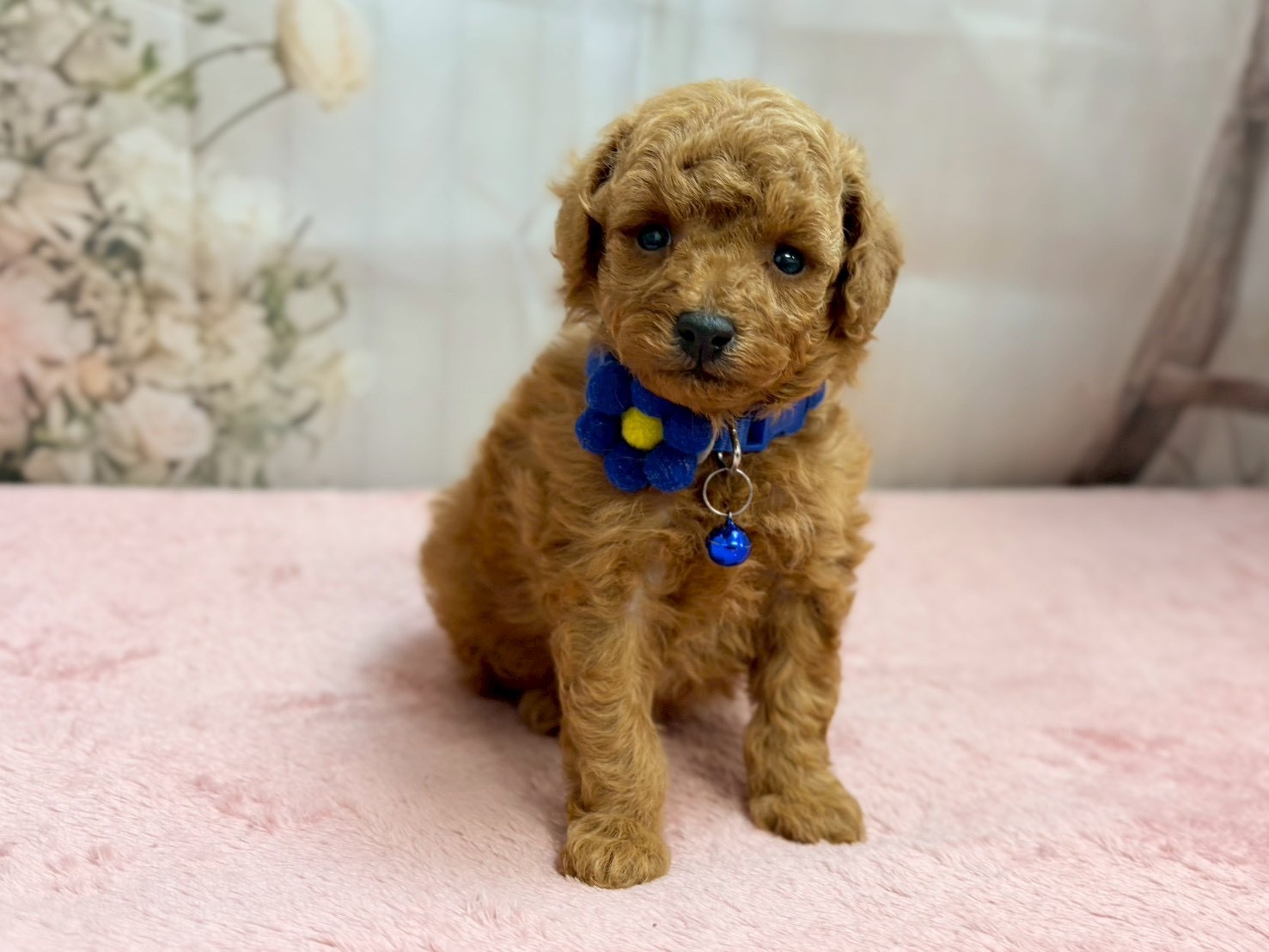 赤ちゃん写真2-1