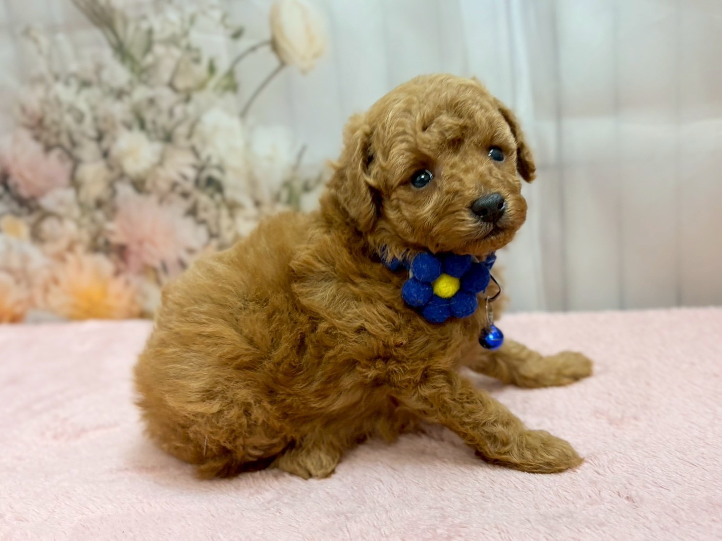 赤ちゃん写真2-2