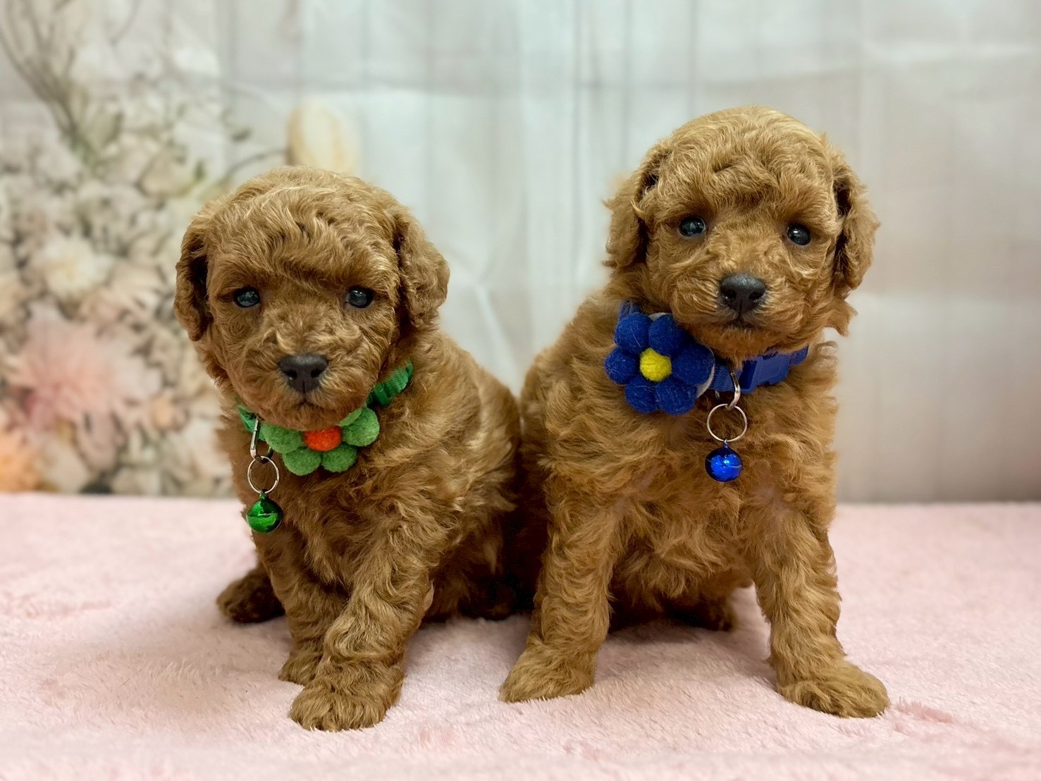 赤ちゃん写真2-3