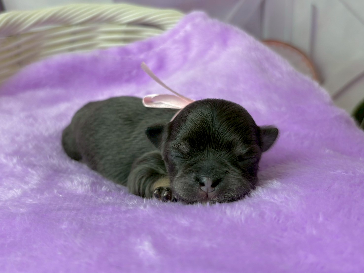 赤ちゃん写真1-1