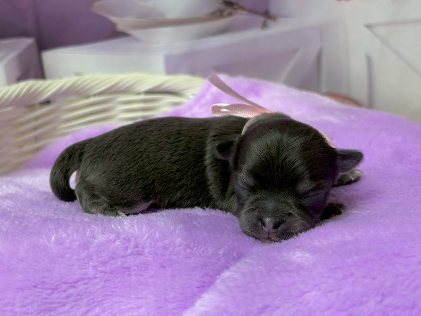 赤ちゃん写真1-2