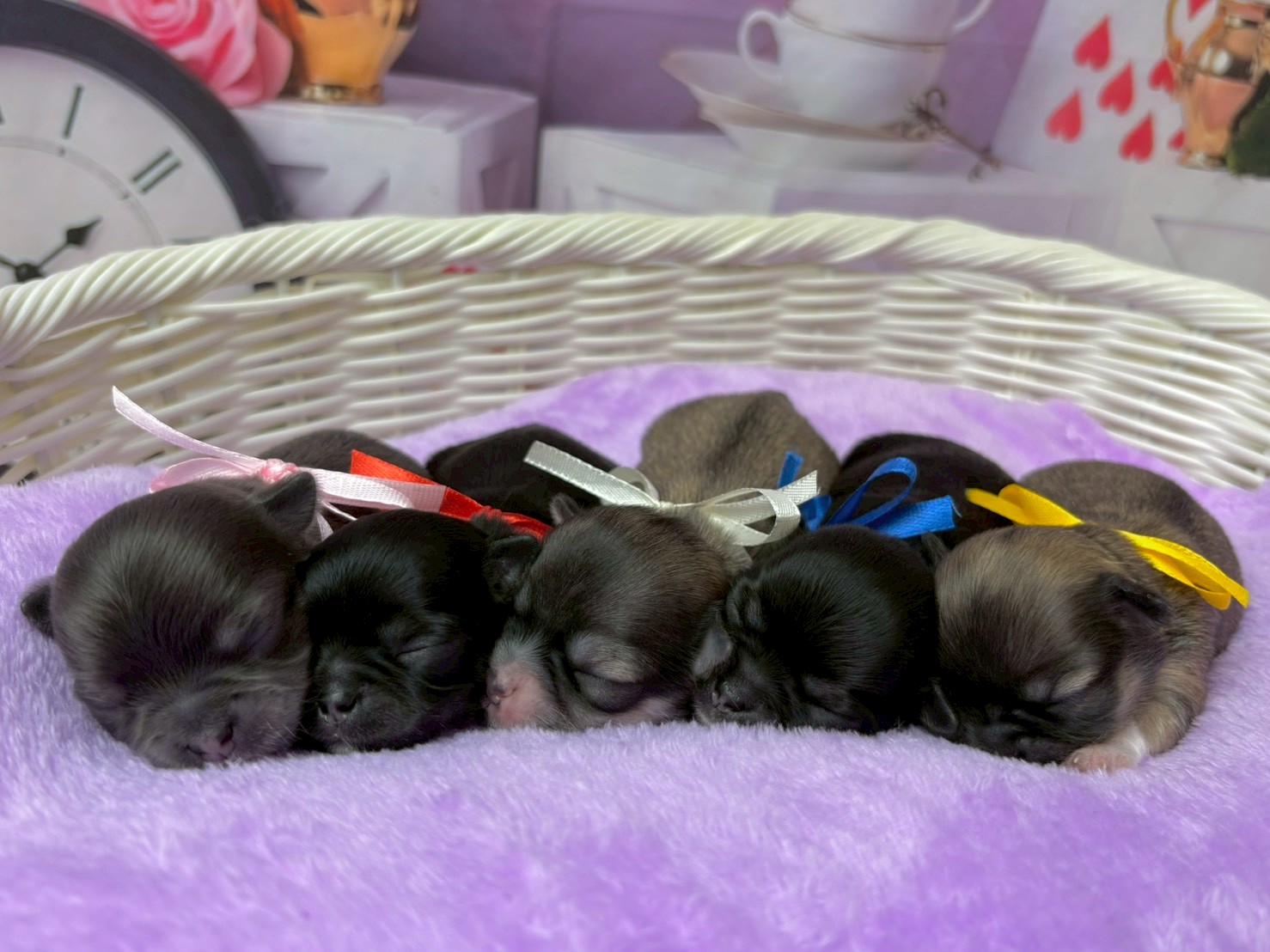 赤ちゃん写真1-3