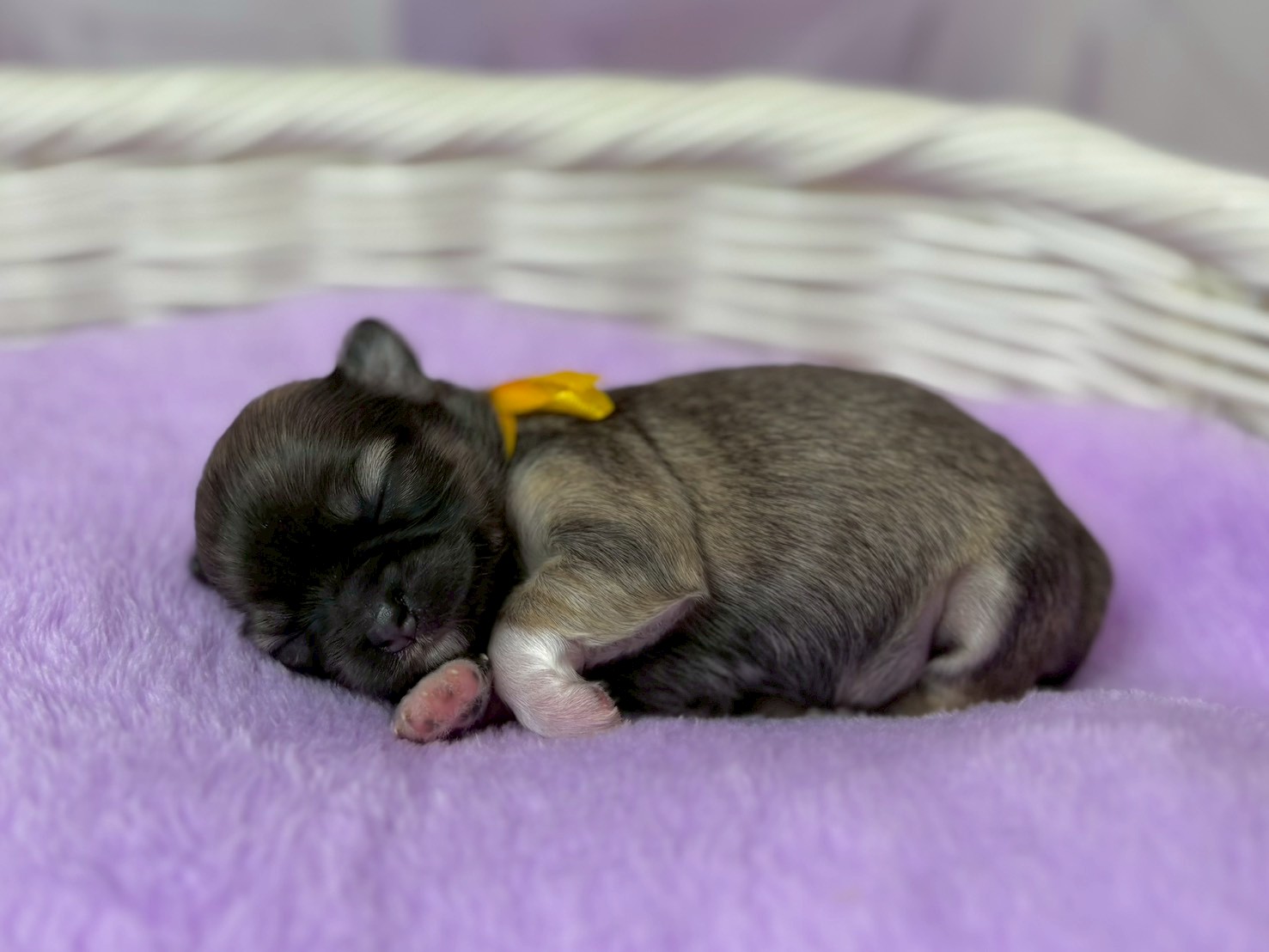赤ちゃん写真1-2