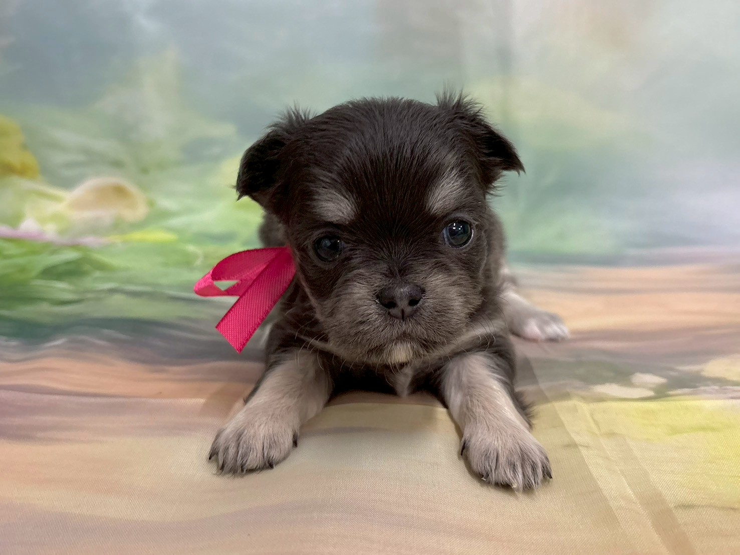 赤ちゃん写真2-1