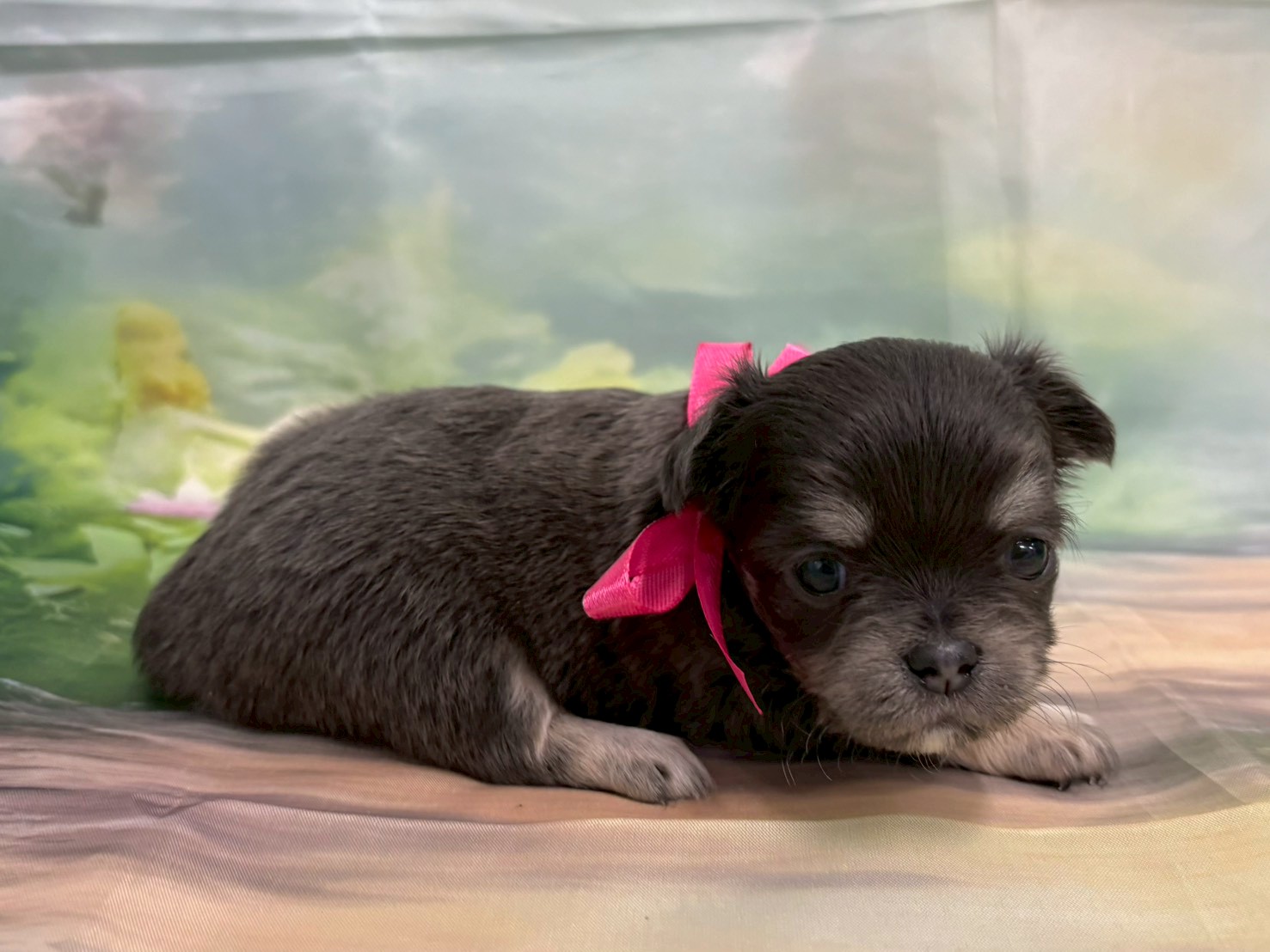 赤ちゃん写真2-2