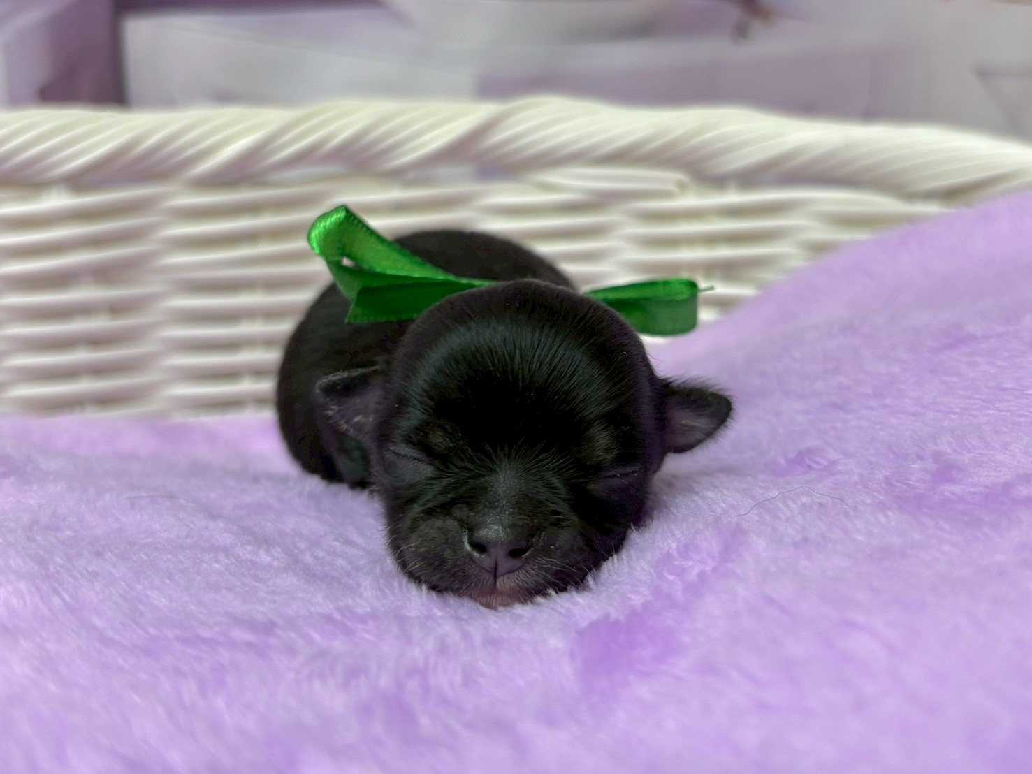 赤ちゃん写真1-1