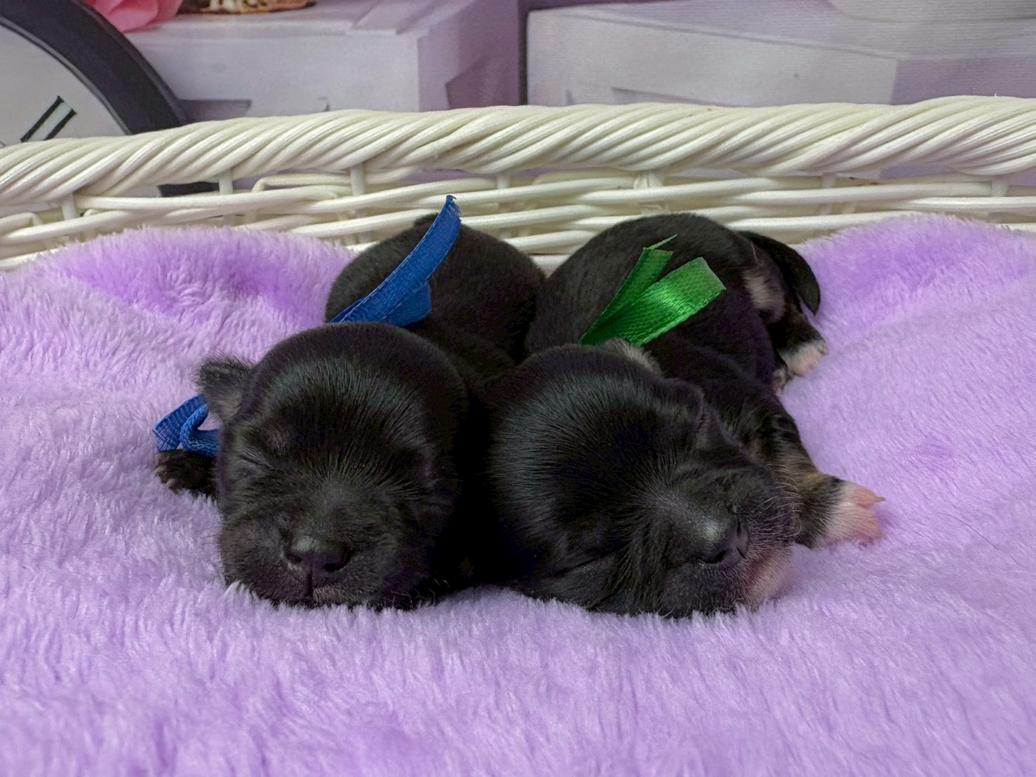 赤ちゃん写真1-3