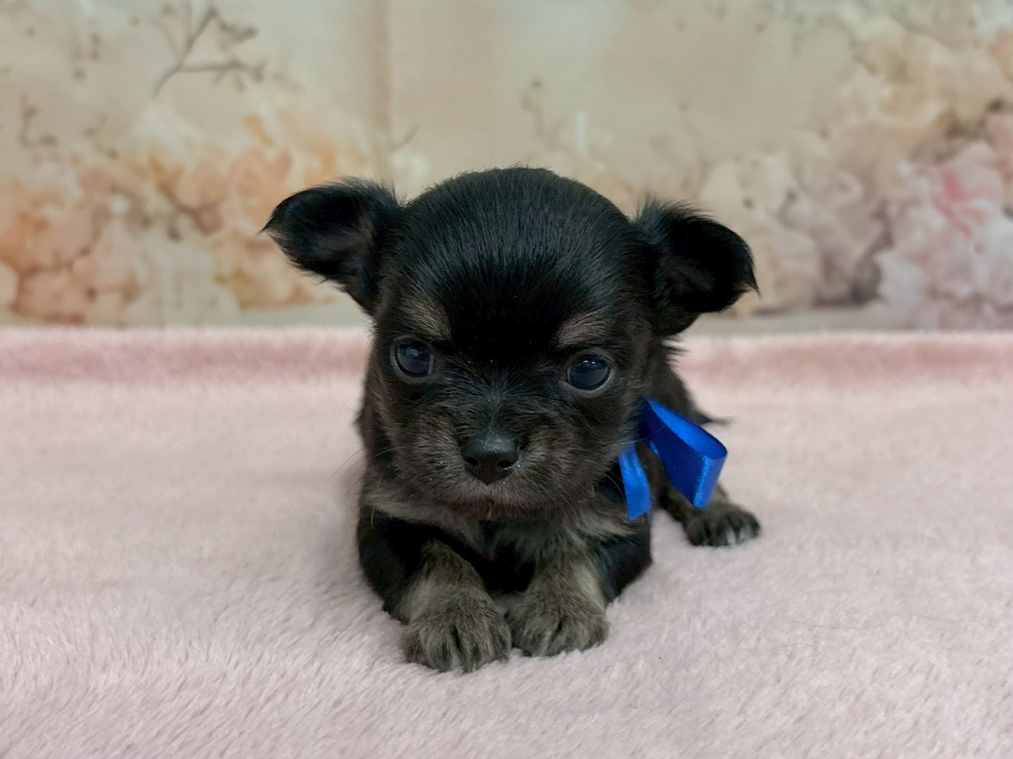 赤ちゃん写真2-1
