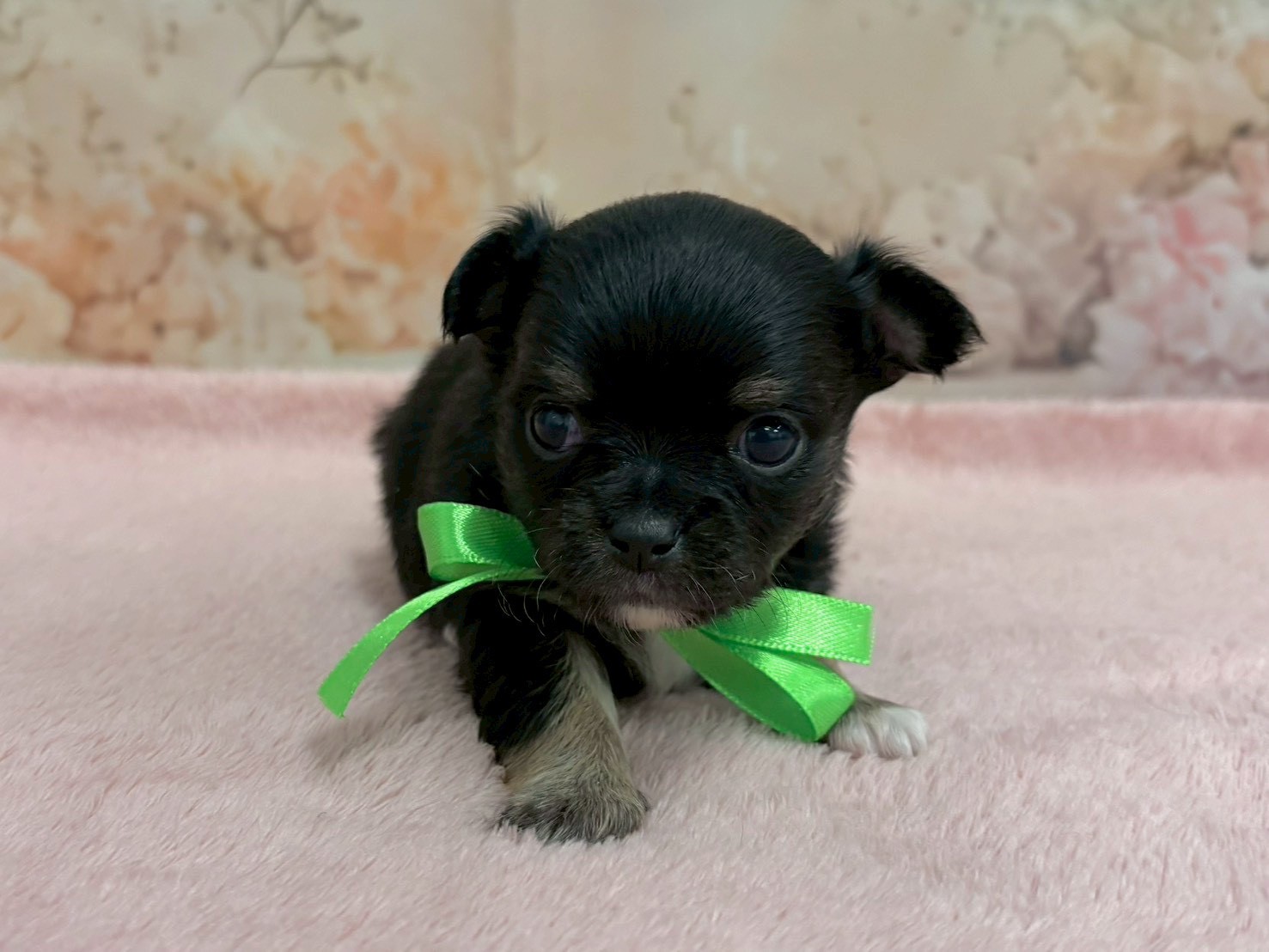 赤ちゃん写真2-1