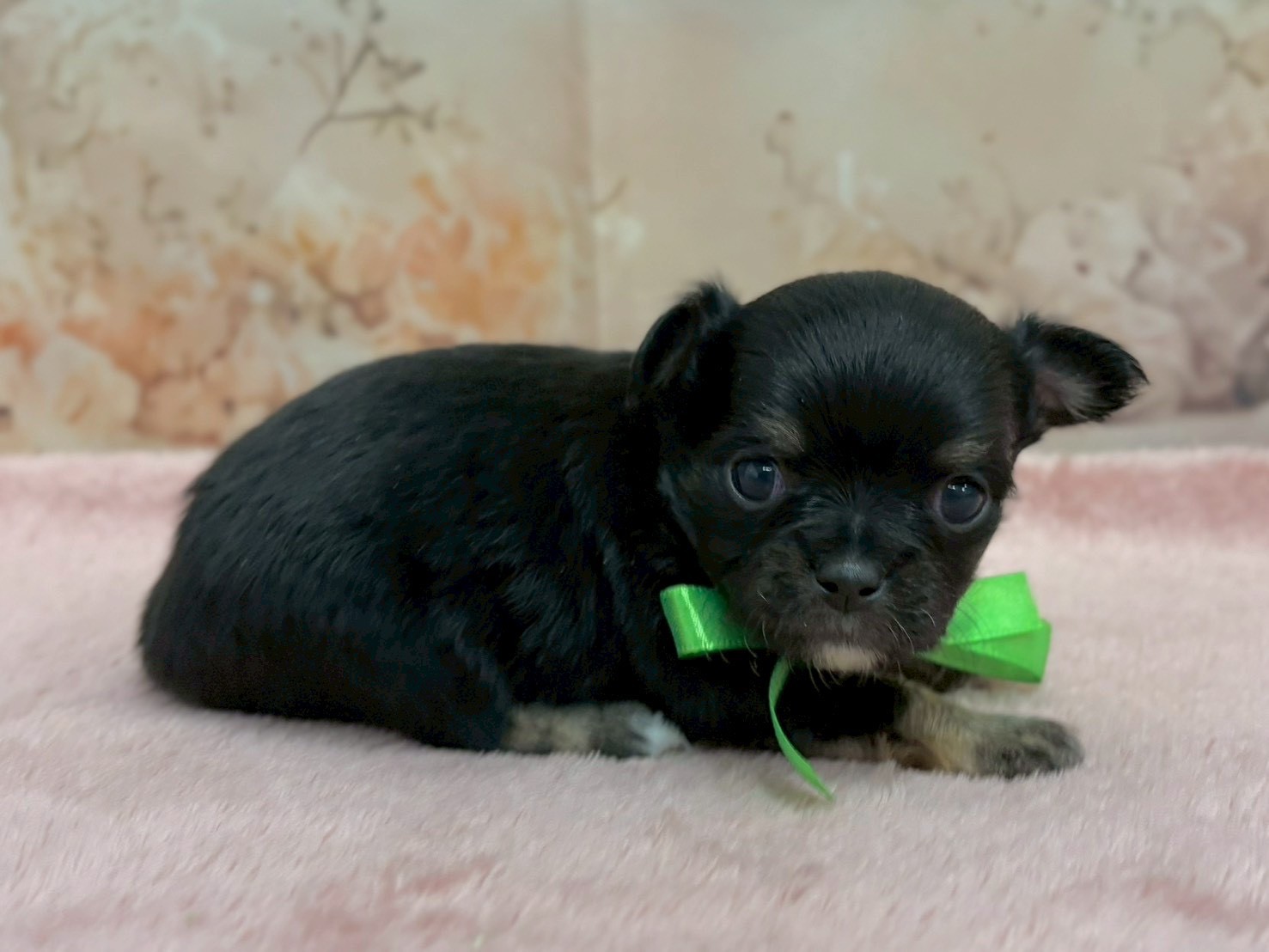 赤ちゃん写真2-2