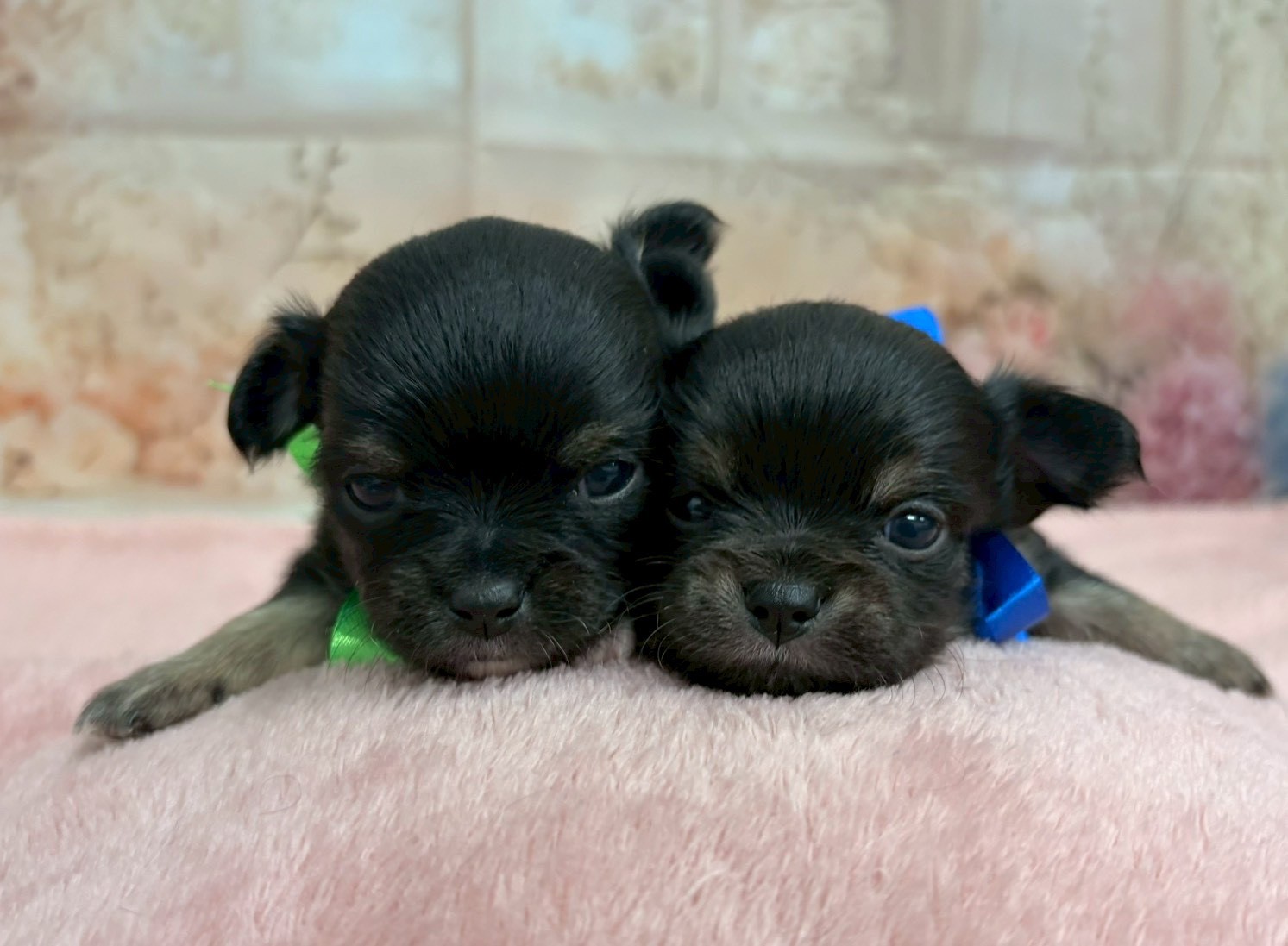 赤ちゃん写真2-3