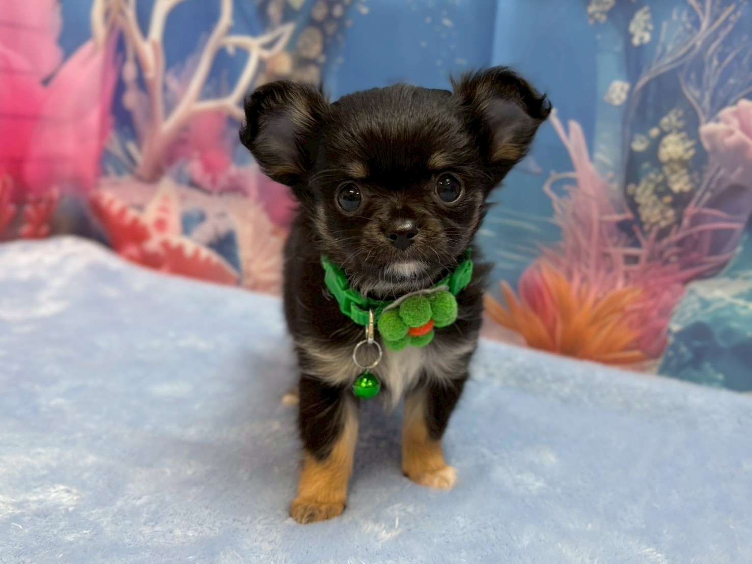 赤ちゃん写真3-1