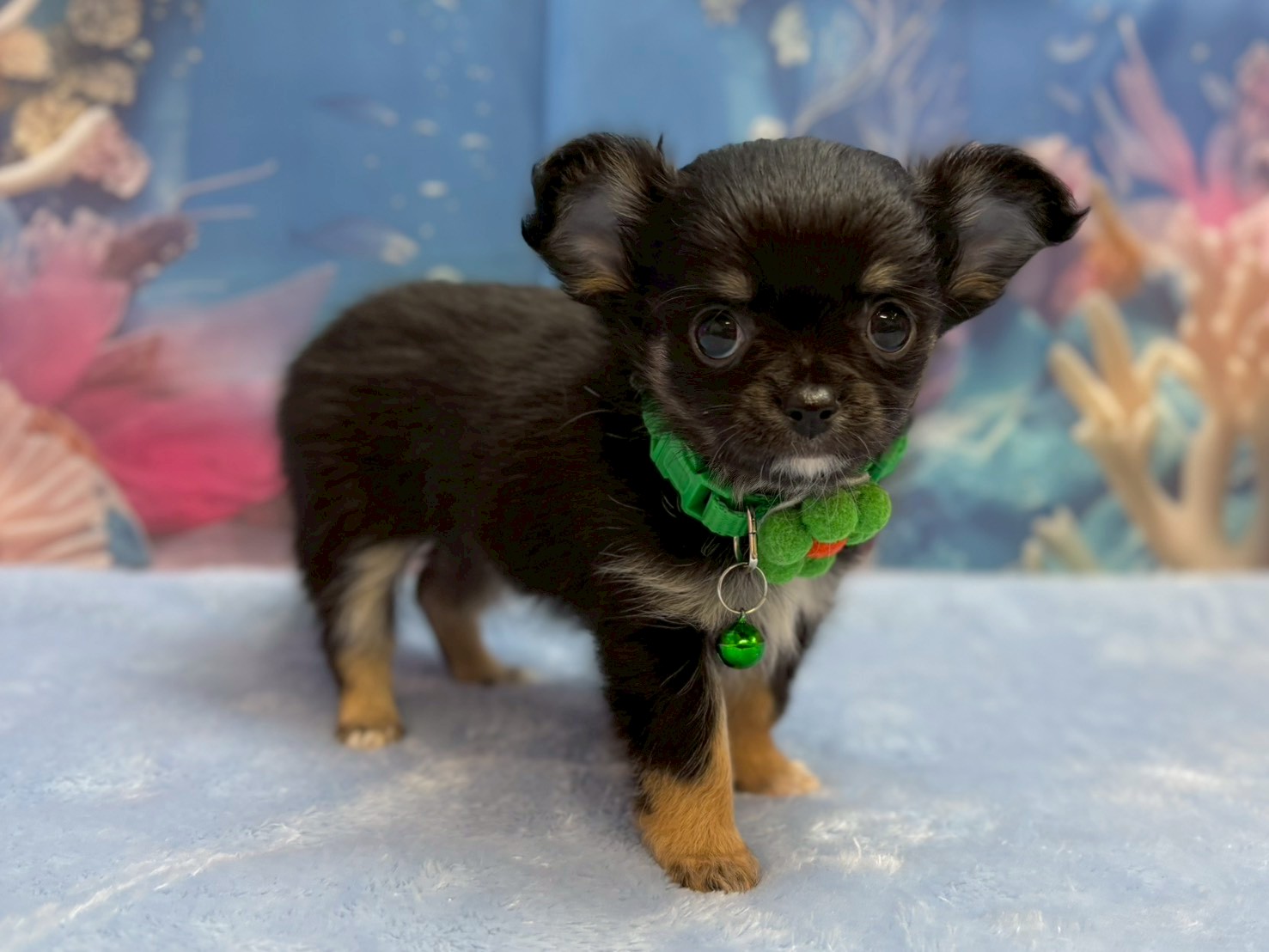 赤ちゃん写真3-2