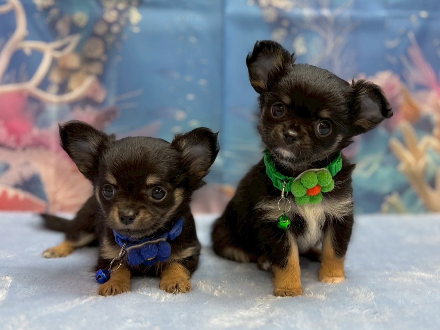 赤ちゃん写真3-3