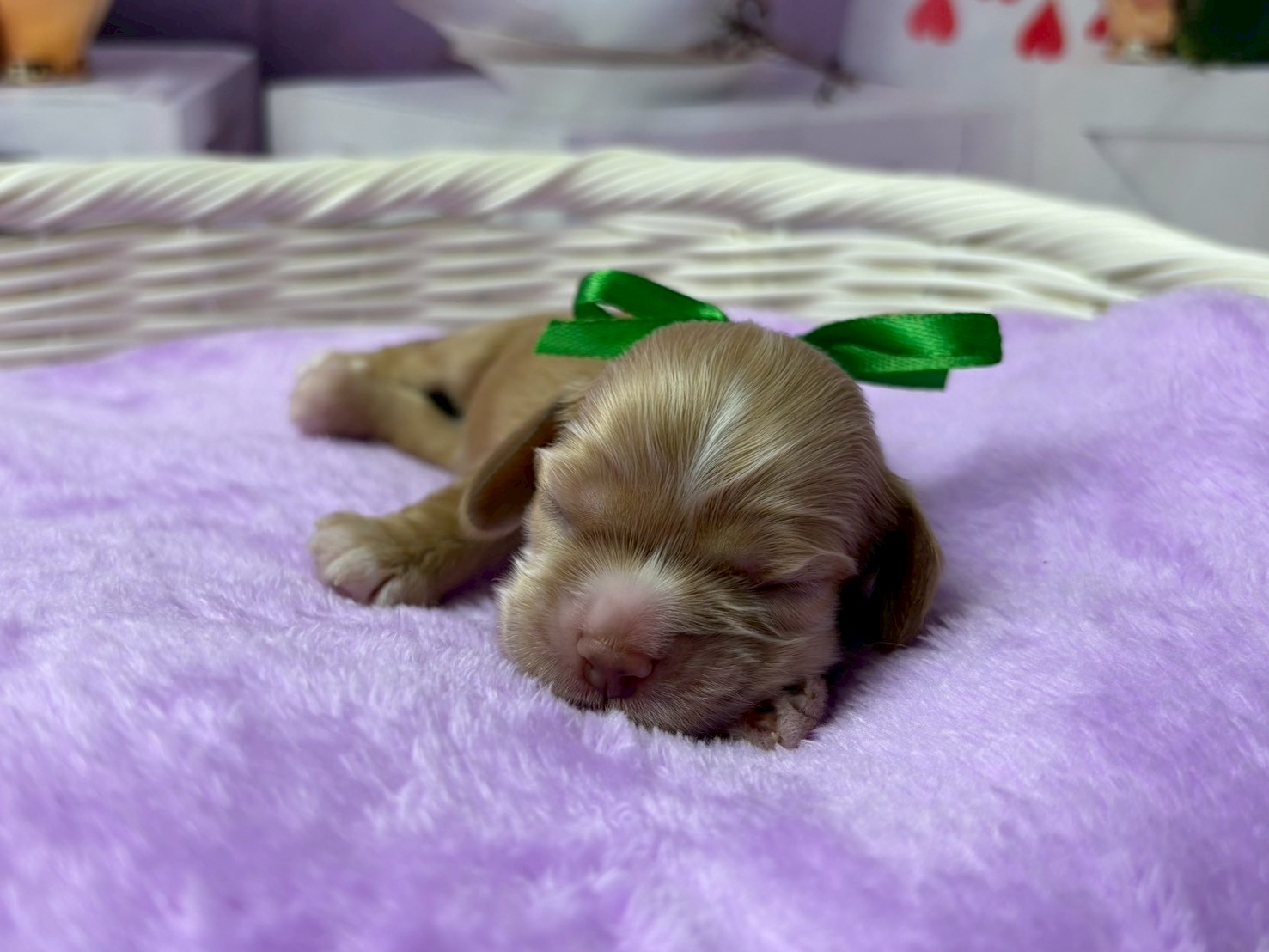 赤ちゃん写真1-1