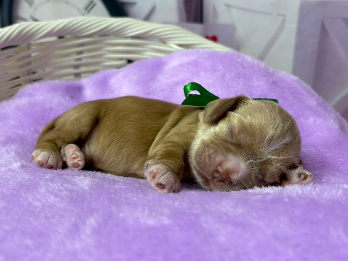 赤ちゃん写真1-2