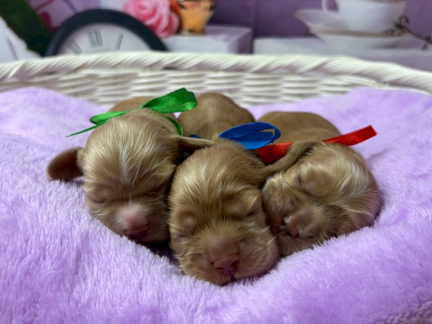 赤ちゃん写真1-3