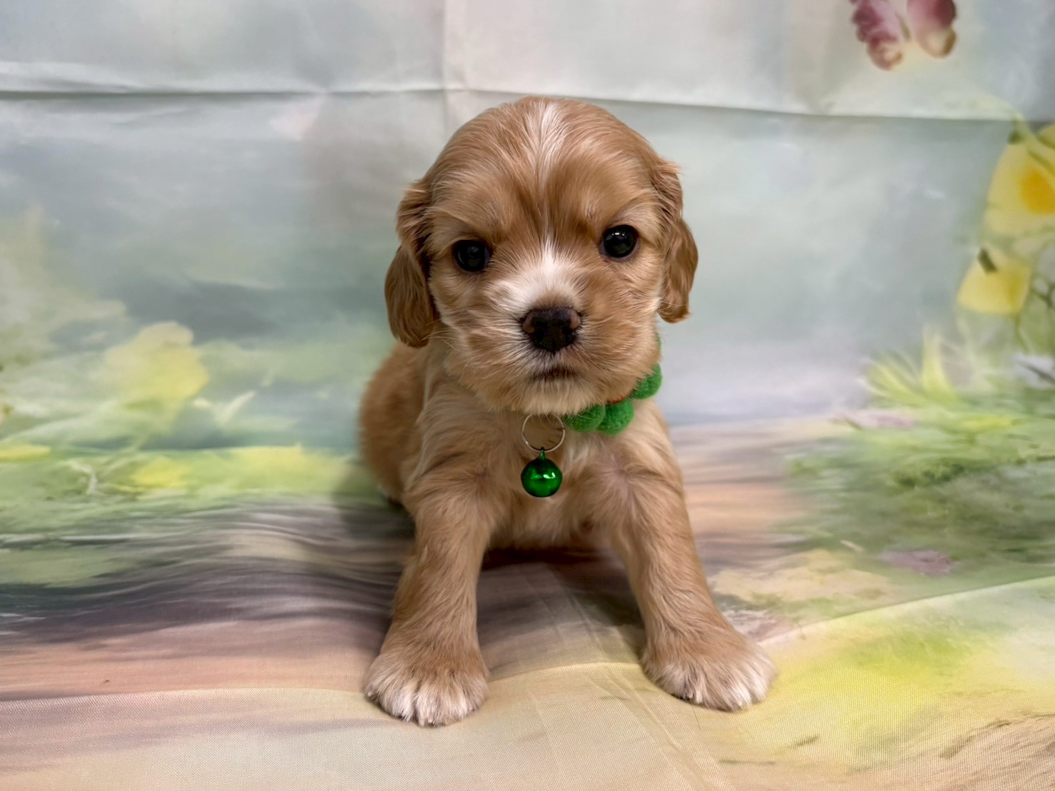 赤ちゃん写真2-1