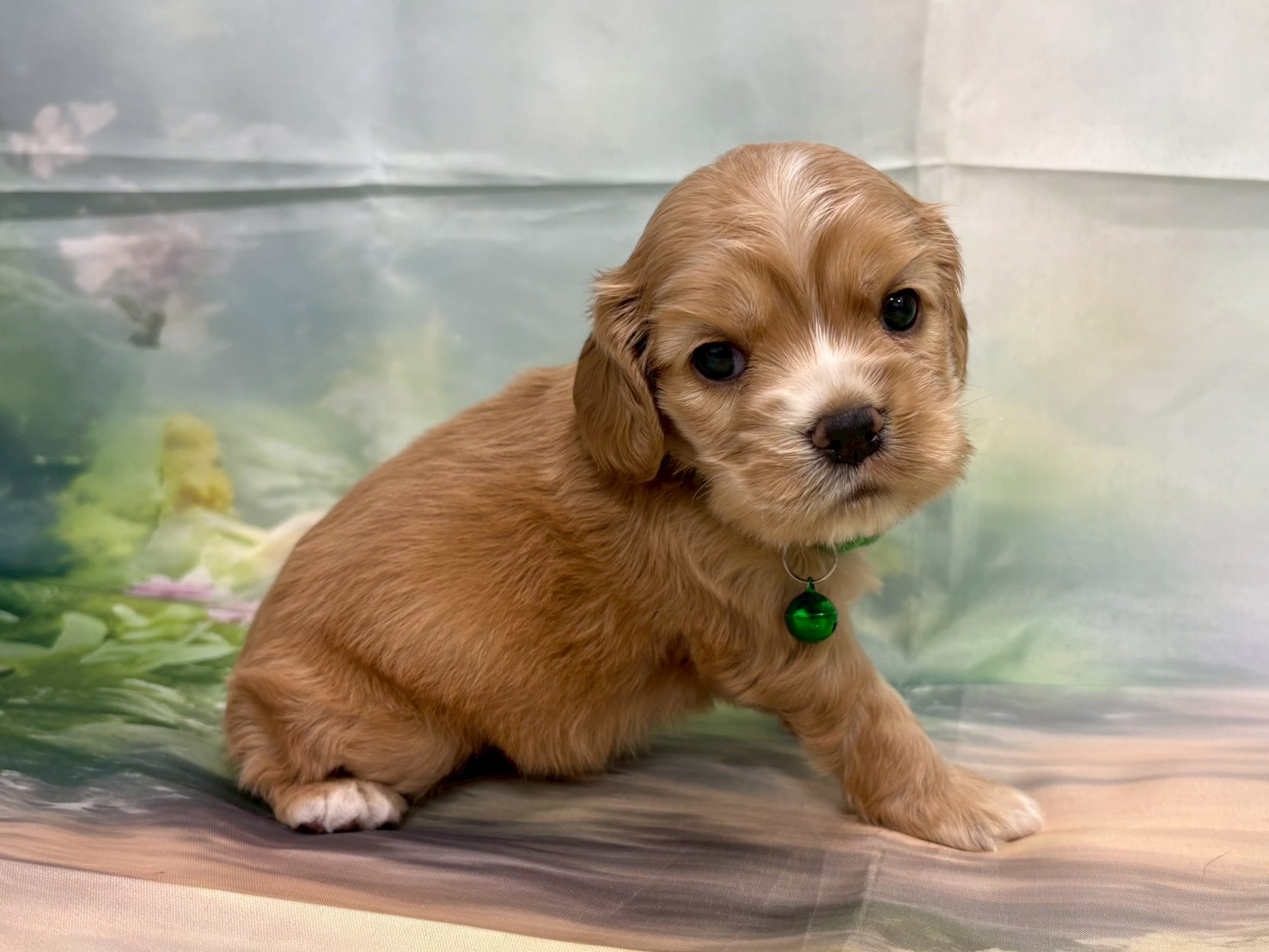 赤ちゃん写真2-2