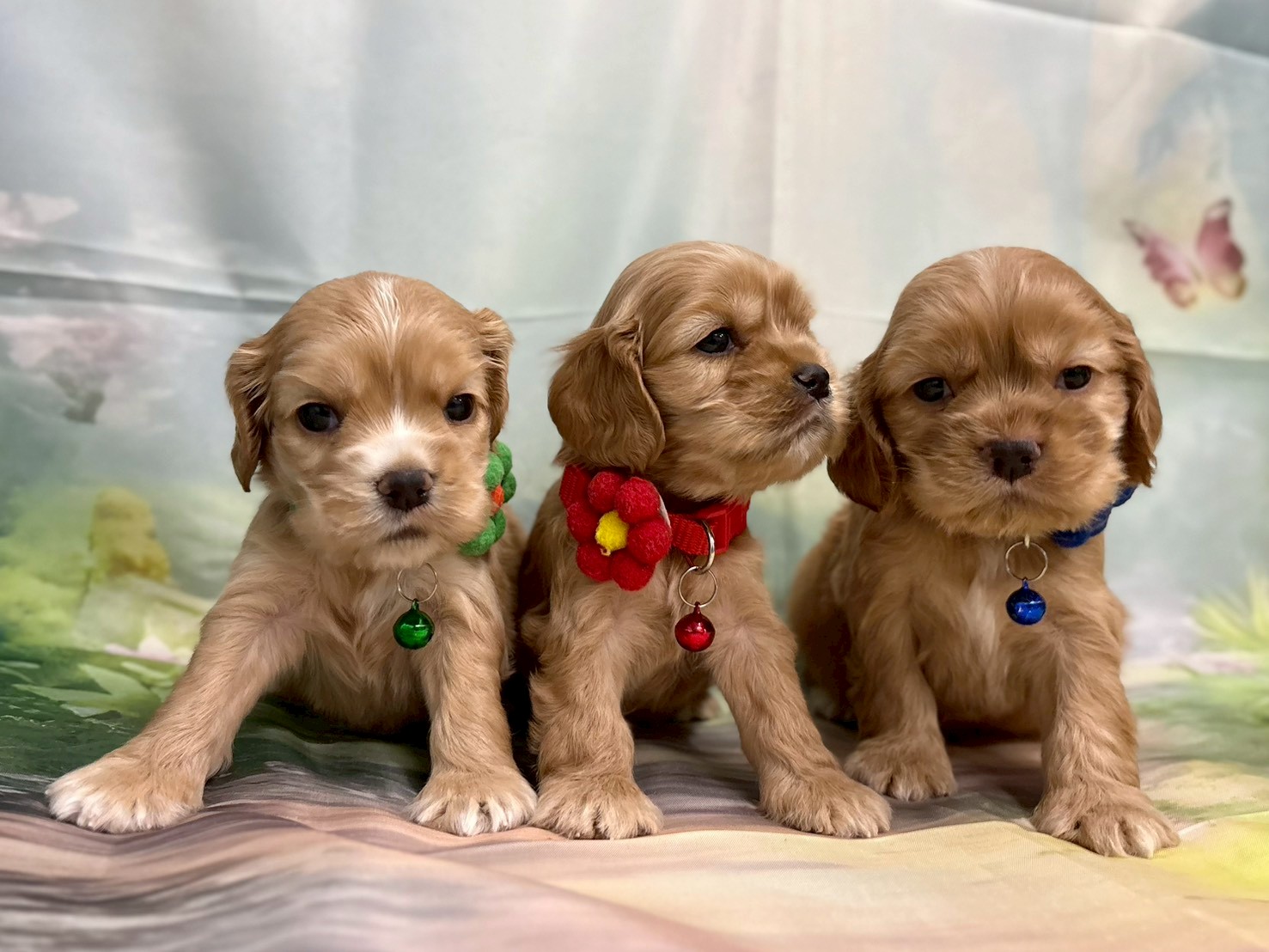 赤ちゃん写真2-3