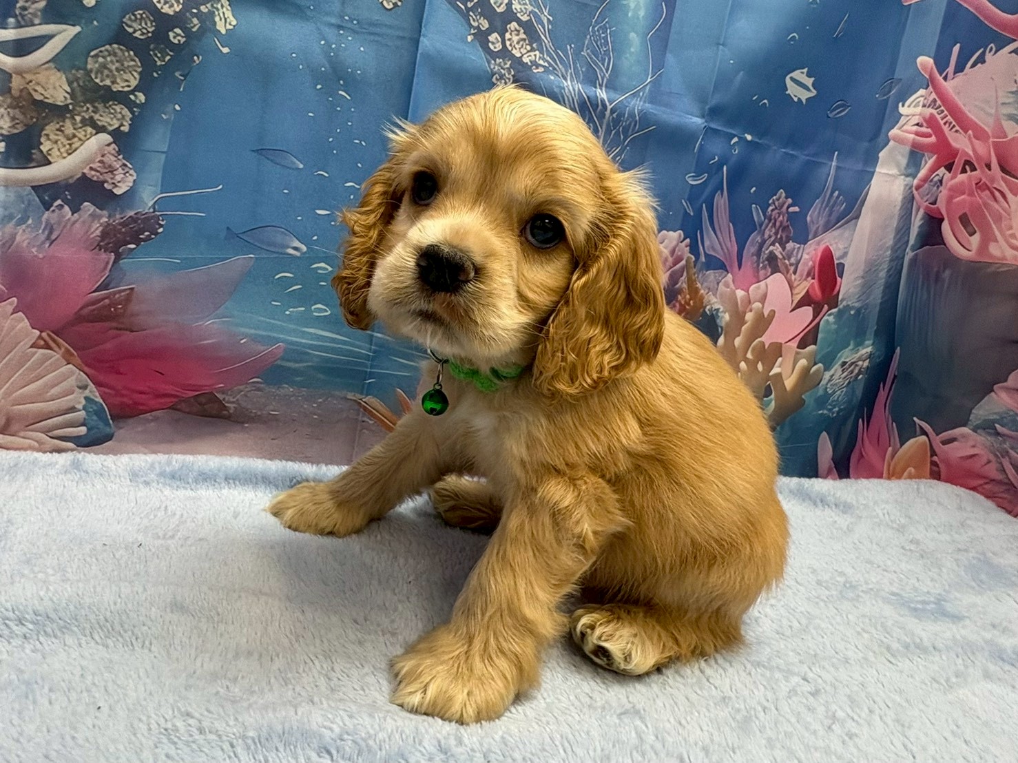 赤ちゃん写真3-2