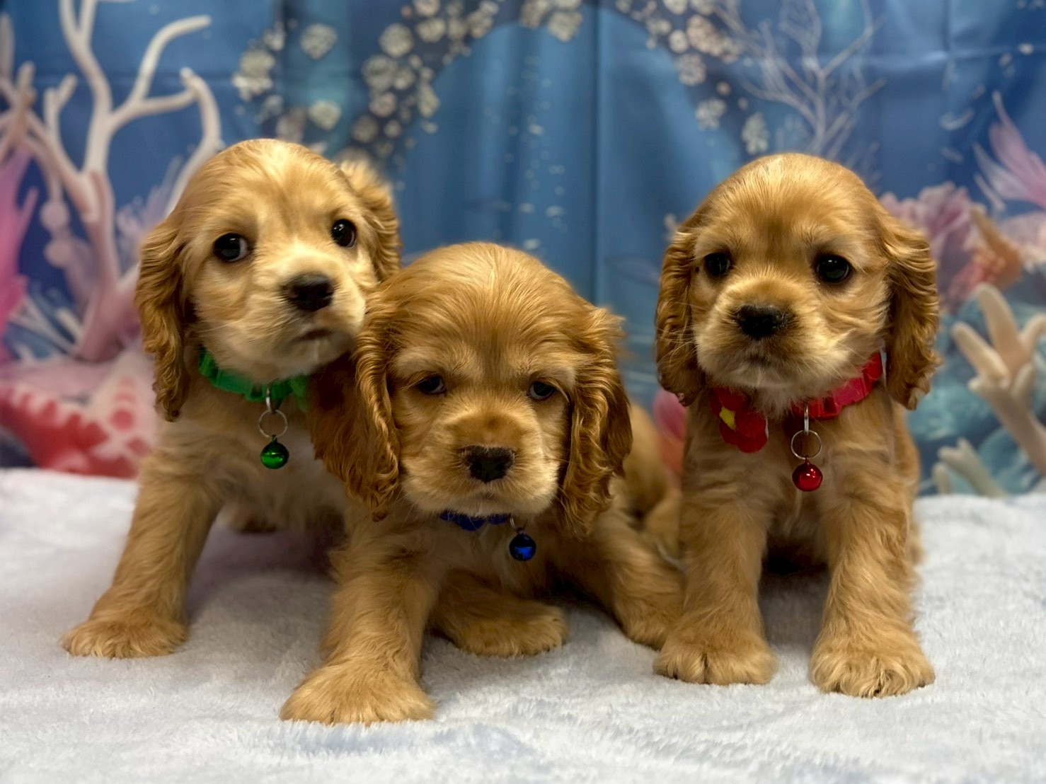 赤ちゃん写真3-3