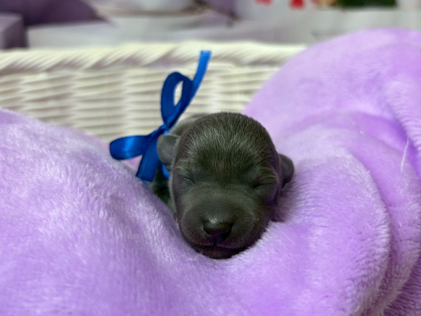 赤ちゃん写真1-1