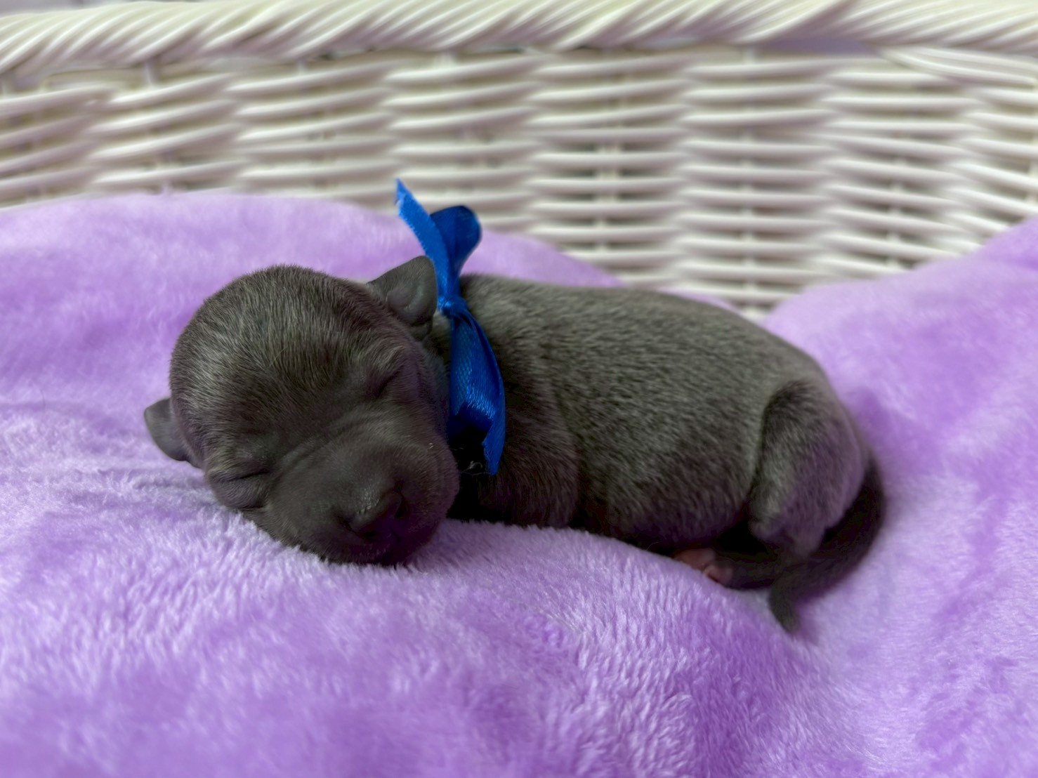 赤ちゃん写真1-2