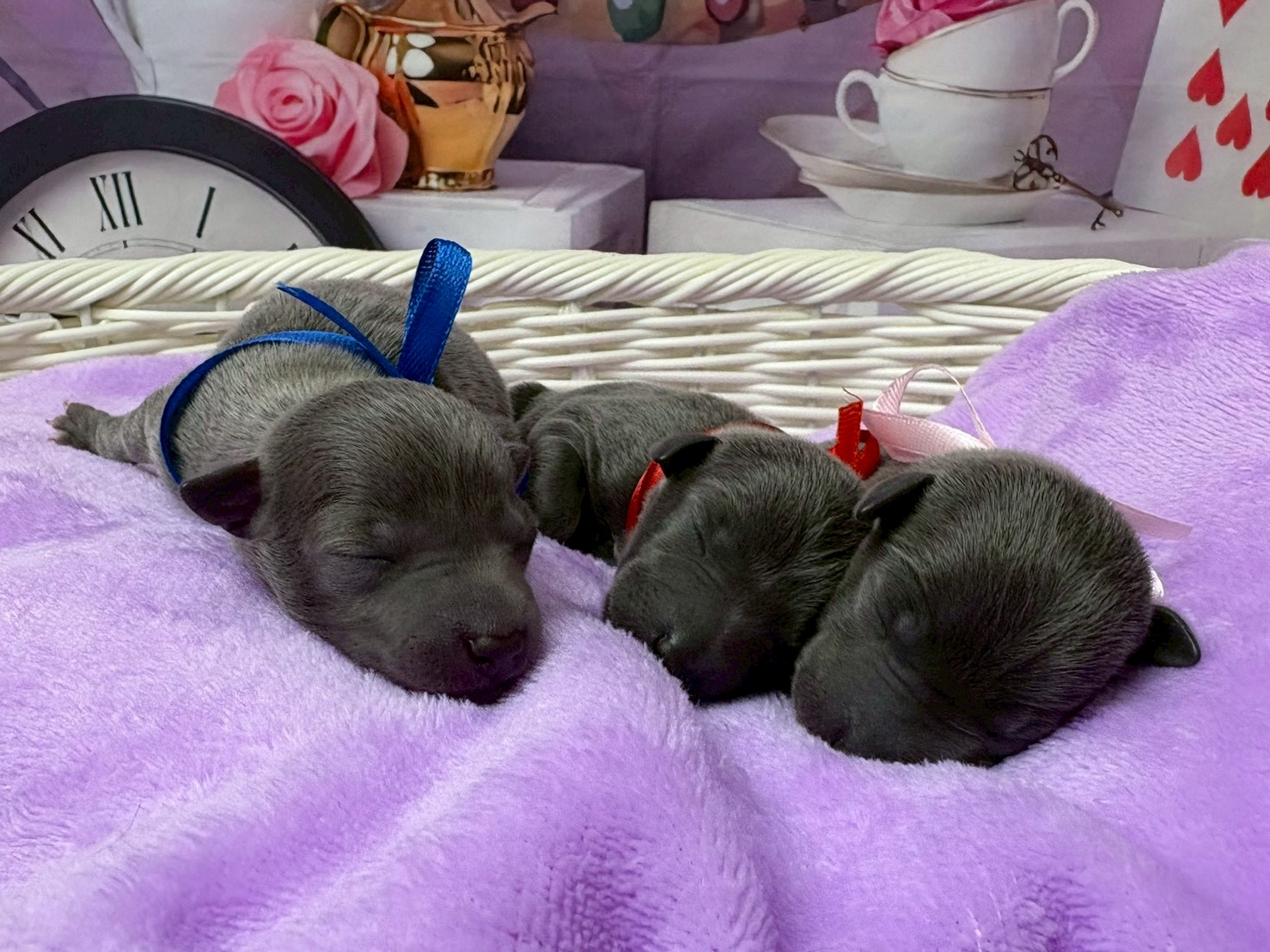 赤ちゃん写真1-3