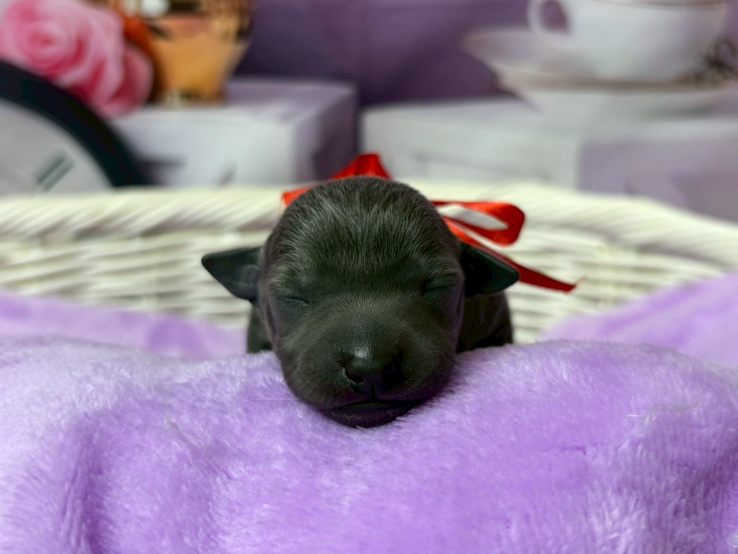 赤ちゃん写真1-1