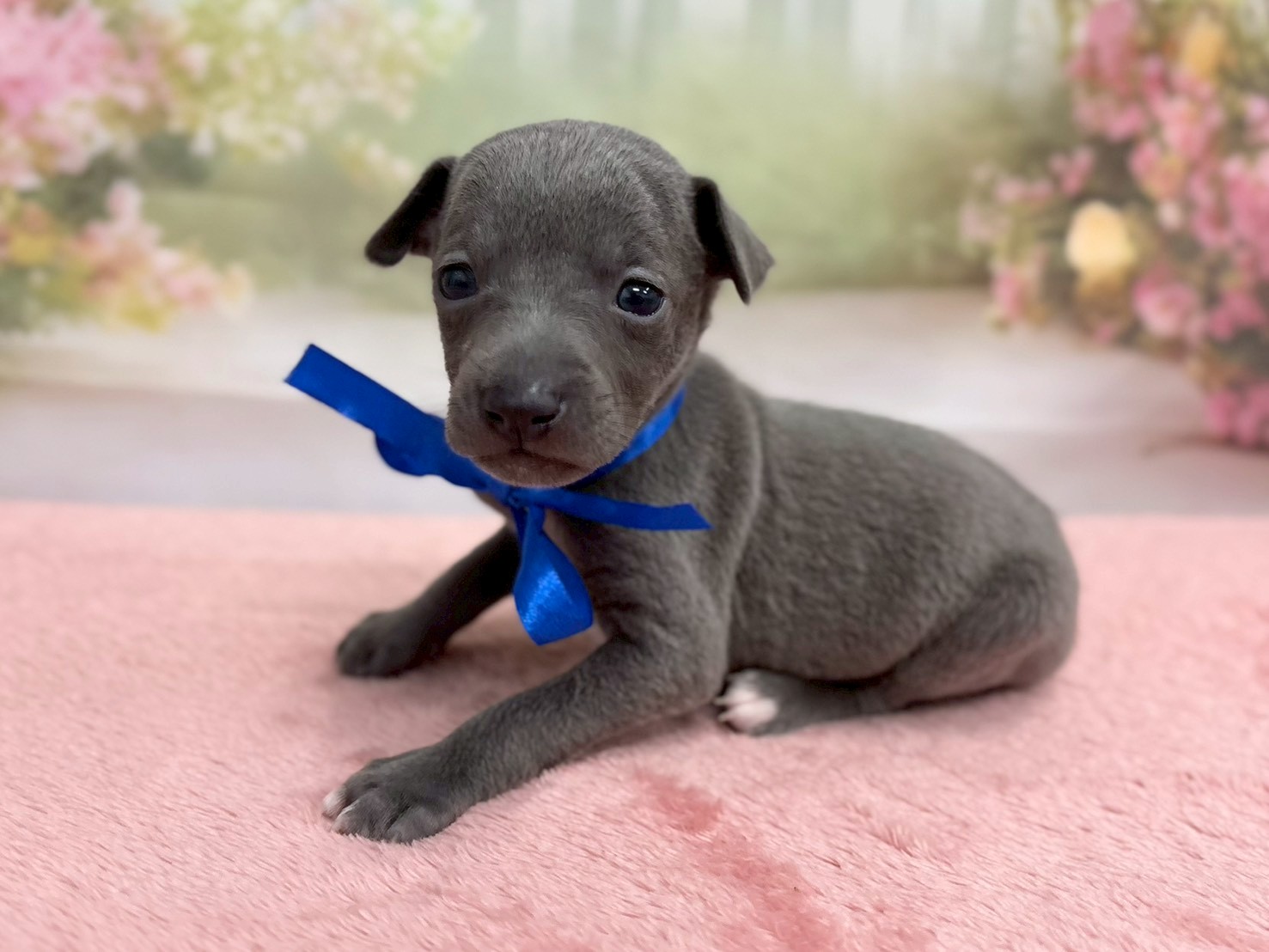 赤ちゃん写真2-2