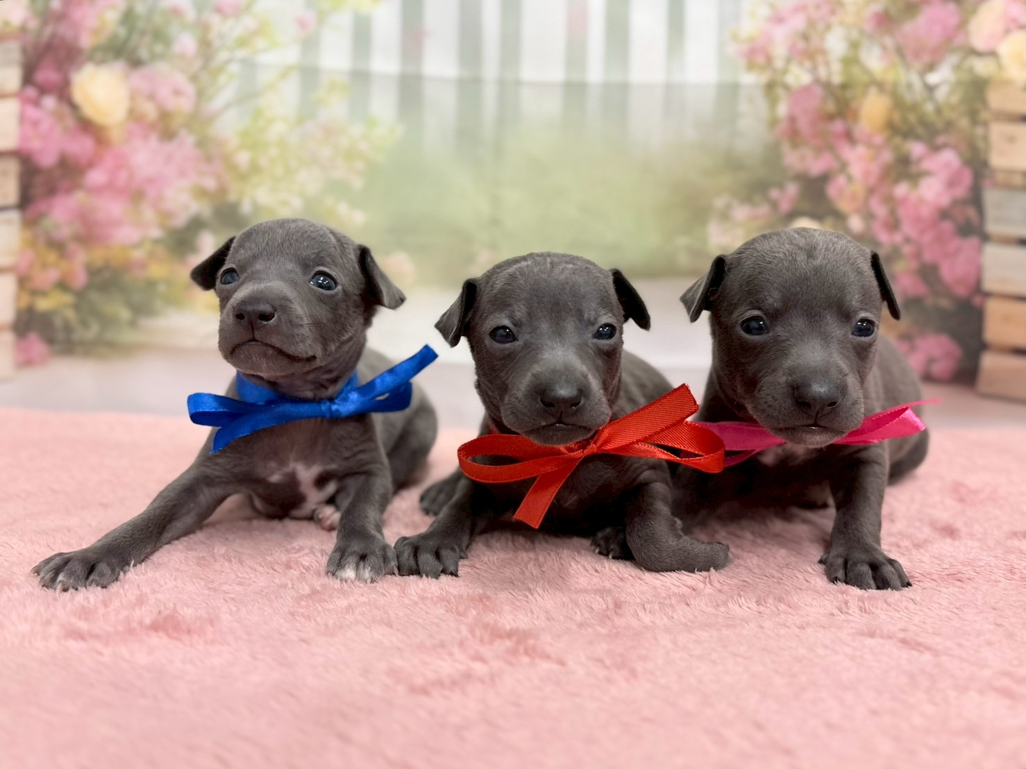 赤ちゃん写真2-3