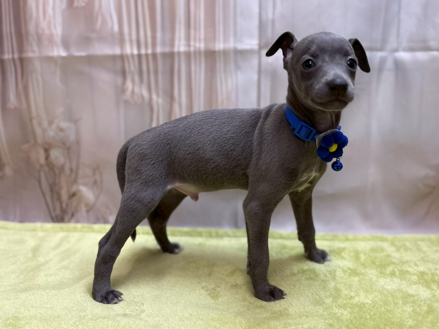 赤ちゃん写真3-2