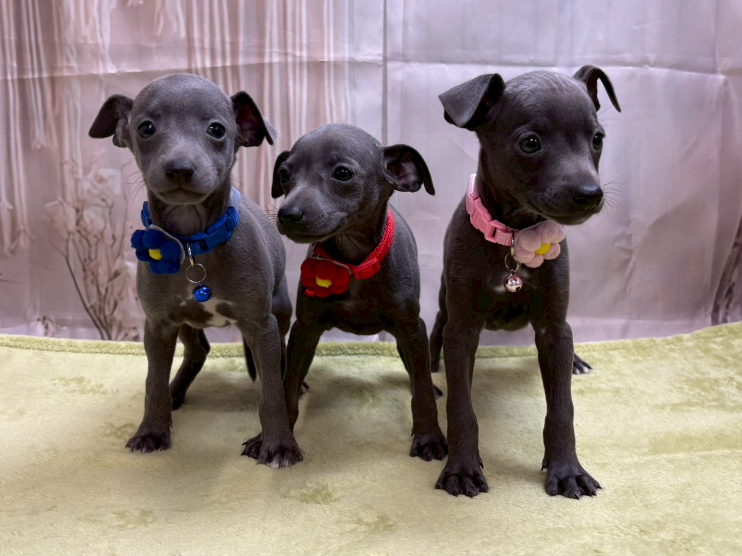 赤ちゃん写真3-3