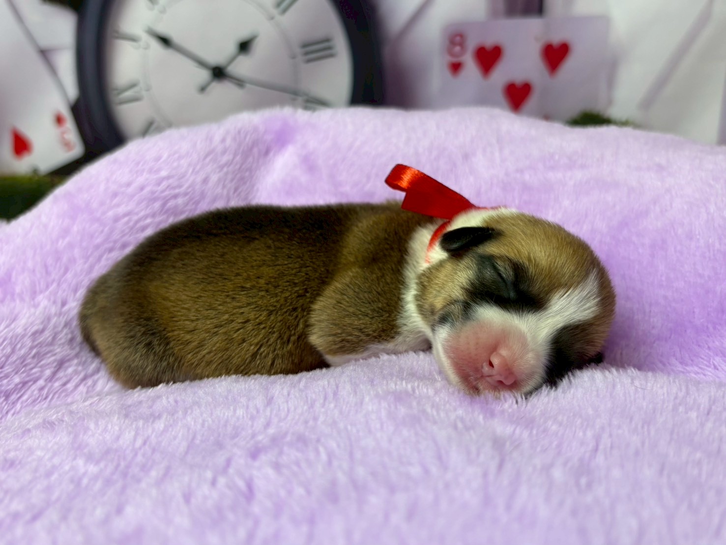 赤ちゃん写真1-2